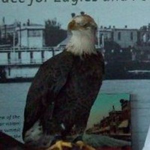 Meet your Posher, Kevin